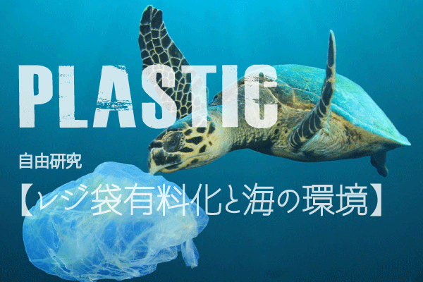 レジ袋有料化から考える環境問題 Jun Watanabe